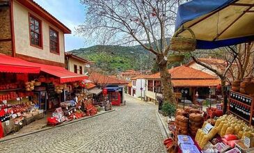  Ödemiş – Bozdağ Köyü – Birgi – Gölcük (Kırkoluklar Çeşmesi) Turu (Günübirlik)