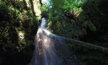 Fethiye Saklıkent Ölüdeniz Turu