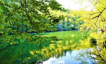 Batı Karadeniz, Şile Ağva ve Yedigöller Turu